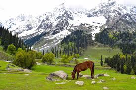 Kashmir Valley